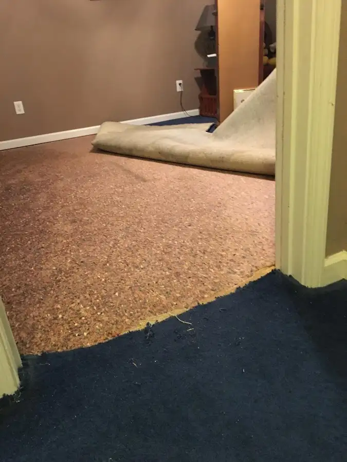 Carpet pad removal revealing water damage during Drying & Dehumidification in Weare