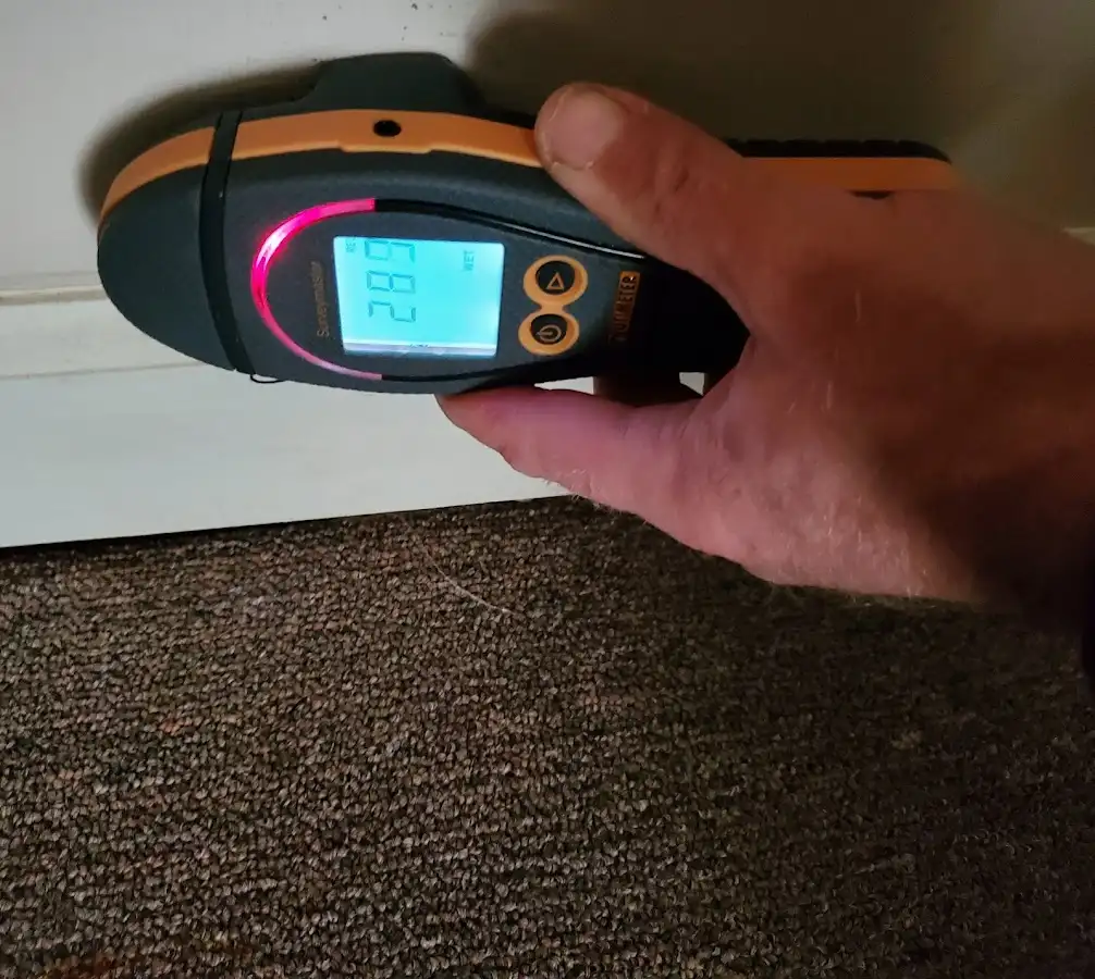 Moisture detection at baseboard during Sewage Cleanup & Sanitation in Weare
